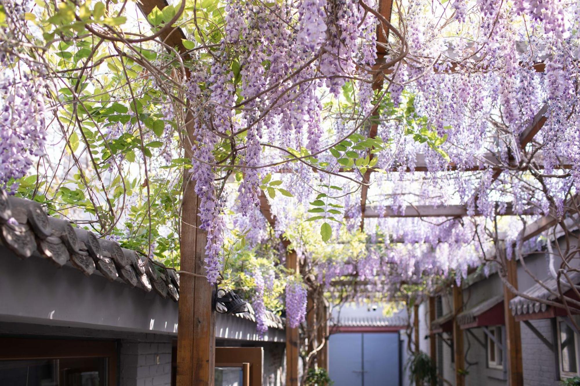 Guipu Beihai Courtyard Hotel בייג'ינג מראה חיצוני תמונה